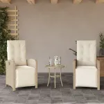 Scaun de grădină rabatabil cu suport picioare,2 buc., poliratan GartenMobel Dekor