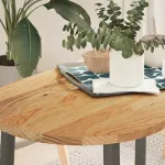 Blat de masă maro deschis 100x50x2 cm lemn masiv de stejar oval GartenMobel Dekor