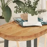 Blat de masă maro deschis 80x40x4 cm lemn masiv de stejar oval GartenMobel Dekor