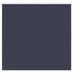 Jaluzea cu role opace 165x130 cm Lățime material 161,6 cm GartenMobel Dekor
