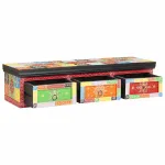 Cabinet TV Multicolour 100 x 30 x 24 cm Lemn masiv de mango GartenMobel Dekor