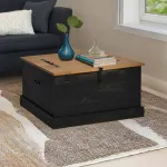 Cufă de depozitare HALDEN Negru 91x91x47 cm Lemn masiv de pin GartenMobel Dekor