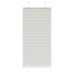 Jaluzea plisată gri deschis 60x150 cm Lățime țesătură 59,4 cm GartenMobel Dekor