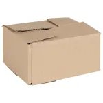 Cutie Pliabilă 50 pcs natural 20 x 15 x 10 cm Carton GartenMobel Dekor