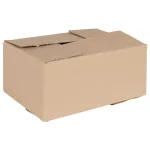 Cutie Pliabilă 50 pcs natural 30 x 21,5 x 14 cm Carton GartenMobel Dekor