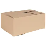 Cutie Pliabilă 50 pcs natural 35 x 24 x 15 cm Carton GartenMobel Dekor