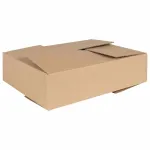 Cutie Pliabilă 50 pcs natural 40 x 30 x 10 cm Carton GartenMobel Dekor