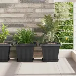 Tavă Pătrată pentru Flori 24 pcs Negru 21 x 21 x 2 cm Plastic GartenMobel Dekor