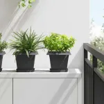 Tavă Pătrată pentru Flori 6 pcs Negru 15 x 15 x 2 cm Plastic GartenMobel Dekor