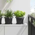 Tavă Pătrată pentru Flori 6 pcs Negru 18 x 18 x 2 cm Plastic GartenMobel Dekor