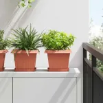 Tavă Pătrată pentru Flori 6 pcs Roșu cărămidă 18 x 18 x 2 cm GartenMobel Dekor