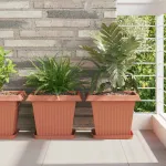 Tavă Pătrată pentru Flori 6 pcs Roșu cărămidă Plastic GartenMobel Dekor