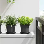 Tavă rotundă pentru flori 6 pcs Negru Ø 14 x 2 cm Plastic GartenMobel Dekor