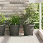 Tavă rotundă pentru flori 6 pcs Negru Ø 14 x 2 cm Plastic GartenMobel Dekor