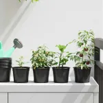 Ghiveci rotund pentru flori 50 pcs Negru Ø 10 x 8 cm Plastic GartenMobel Dekor