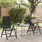 Scaune de grădină rabatabile 2 pcs Negru 58 x 71 x 112 cm GartenMobel Dekor