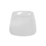 Viziera Transparenta pentru Protectie Fata Performance AutoTuning