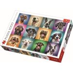 PUZZLE TREFL 1000 PORTRET CATELUSI SIMPATICI SuperHeroes ToysZone