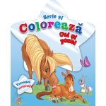 Scrie si coloreaza cai si ponei - blue PlayLearn Toys