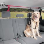 Centura siguranta animale de companie Pets Travel , prindere maner sustinere interior AutoDrive ProParts