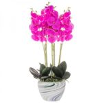 Orhidee arificiala cu ghiveci din ceramica, roz, 75 cm, Springos GartenVIP DiyLine