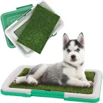Litiera tip Tavita Toaleta pentru Caini, Pisici, Animale cu Gazon/Iarba Artificiala pentru Casa sau Terasa