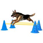 Set de obstacole pentru activități câini, albastru și galben GartenMobel Dekor