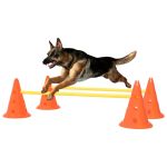 Set de obstacole pentru câini, portocaliu și galben GartenMobel Dekor