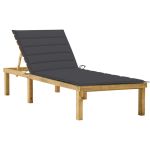 Șezlong cu pernă antracit, lemn de pin tratat GartenMobel Dekor