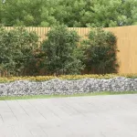 Strat înălțat cu gabion arcuit, 600x50x50 cm, fier galvanizat GartenMobel Dekor