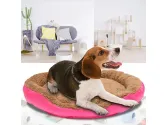 Pat Culcus pentru Animale