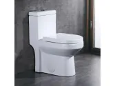 Capace si Vase de Toaleta WC