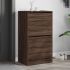 Pantofar cu 2 sertare rabatabile, stejar sonoma, 60x42x108 cm GartenMobel Dekor