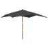 Umbrelă de grădină stâlp din lemn, taupe, 300x300x273 cm GartenMobel Dekor