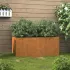 Jardinieră, 32x30x29 cm, oțel corten GartenMobel Dekor