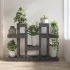 Suport pentru plante, gri, 85x25x109,5 cm, lemn masiv de pin GartenMobel Dekor