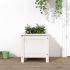Strat înălțat de grădină, alb, 119,5x40x39 cm, lemn masiv pin GartenMobel Dekor