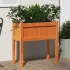 Jardinier de grădină cu picioare, 70x31x70 cm, lemn pin tratat GartenMobel Dekor