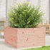 Jardinieră de grădină, 80x80x68,5 cm, lemn masiv Douglas GartenMobel Dekor