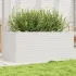 Jardinieră de grădină, alb, 50x50x49,5 cm, lemn masiv de pin GartenMobel Dekor