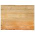 Blat masă cu margini naturale, 50x40x2,5 cm, lemn masiv mango GartenMobel Dekor