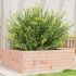 Jardinieră de grădină, alb, 70x70x23 cm, lemn masiv de pin GartenMobel Dekor