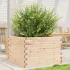 Jardinieră de grădină, 70x70x45,5 cm, lemn de pin impregnat GartenMobel Dekor