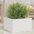 Jardinieră de grădină, alb, 50x50x49,5 cm, lemn masiv de pin GartenMobel Dekor