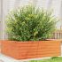 Jardinieră grădină, maro ceruit, 110x40x72,5 cm, lemn masiv pin GartenMobel Dekor
