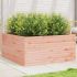 Jardinieră de grădină, alb, 100x100x46 cm, lemn masiv de pin GartenMobel Dekor