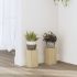 Suporturi de plante, 2 buc., alb, 10x10x18 cm, lemn prelucrat GartenMobel Dekor