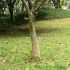 Rulou de iută, 1x5 m, iută 100%, 200 g/m² GartenMobel Dekor