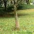 Rulou de iută, 1x5 m, iută 100%, 200 g/m² GartenMobel Dekor