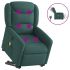 Fotoliu electric rabatabil cu ridicare, gri deschis, textil GartenMobel Dekor